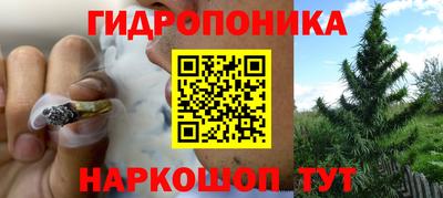 стафф Краснокаменск