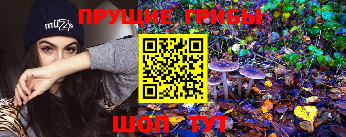 Псилоцибиновые грибы мухоморы Йошкар-Ола